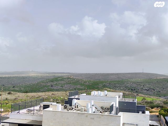 זכריה הנביא 