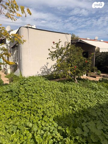 נאות המכבים