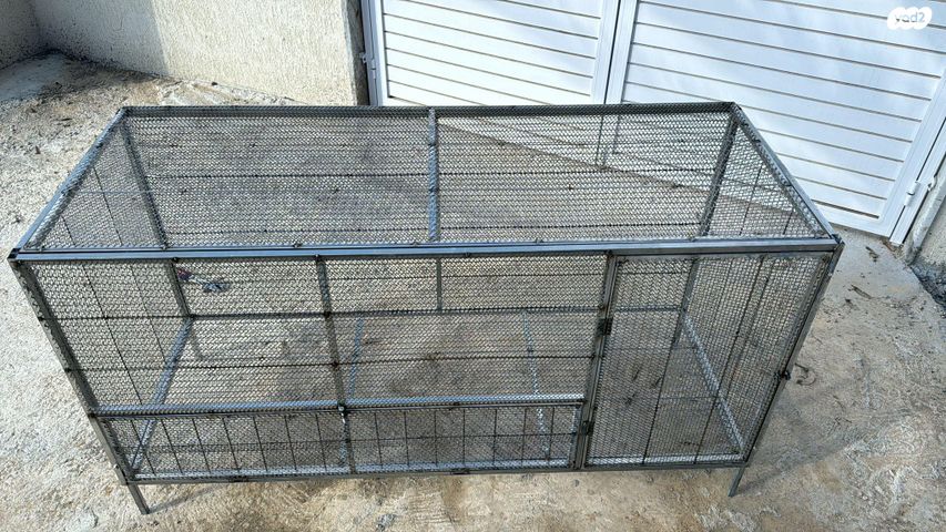 תמונת מודעה - חיות מחמד