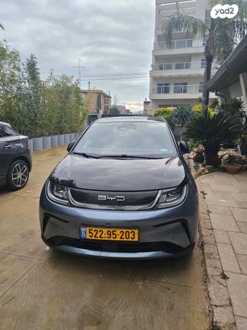 מודעת רכב בי.ווי.די דולפין