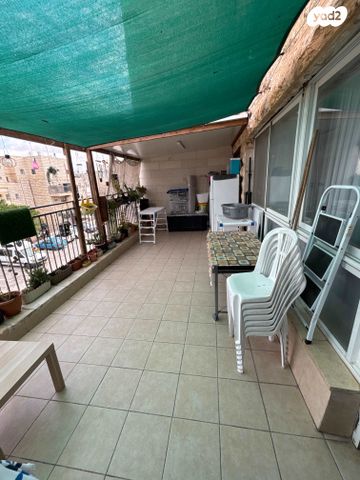 אשר גולאק 12