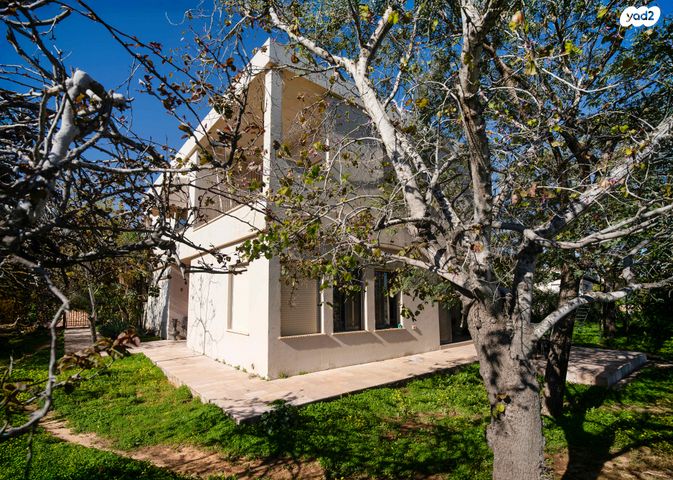 פריחת השקד 788