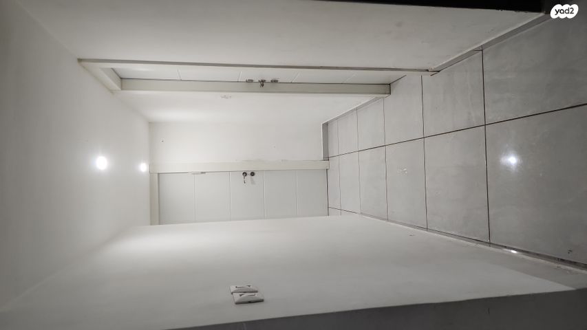 ד"ר תיאודור וייסלברגר 5