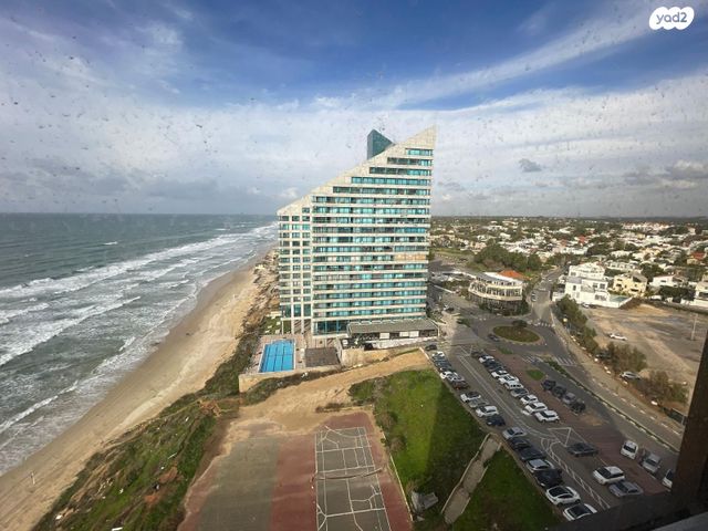 אלי לנדאו 60