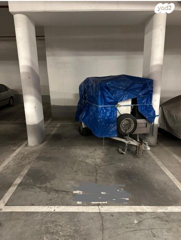 זהרה אלפסיה 8