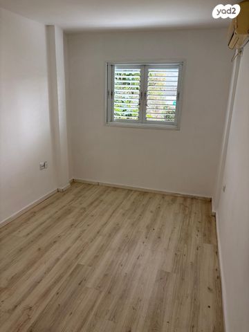 הרב ריינס 15