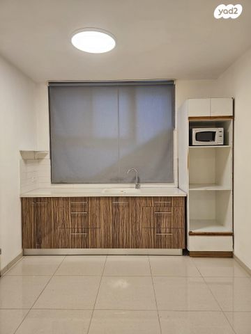 פנחס מאירי 33