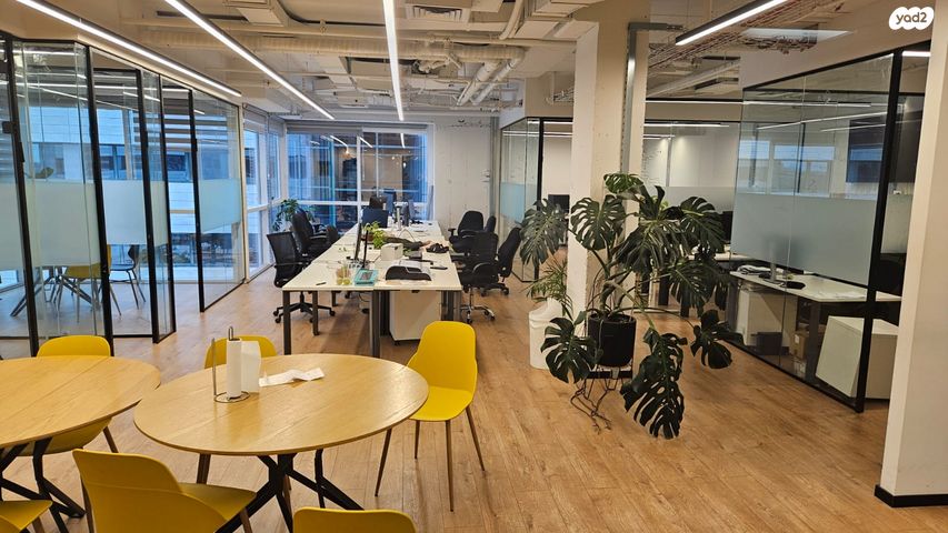 יגאל אלון 57