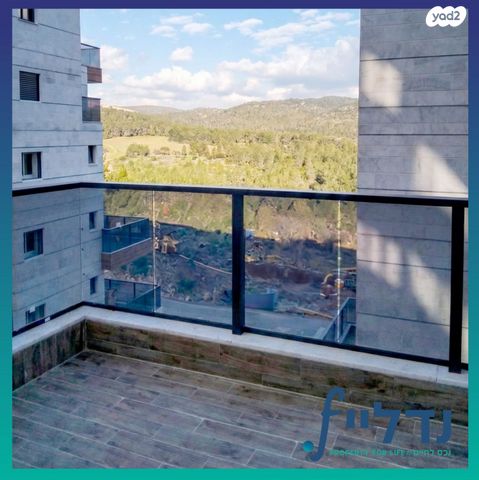 רועי קליין 21