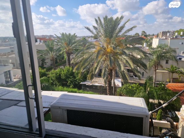 יצחק בן צבי 