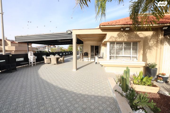 שמעון פינקל 