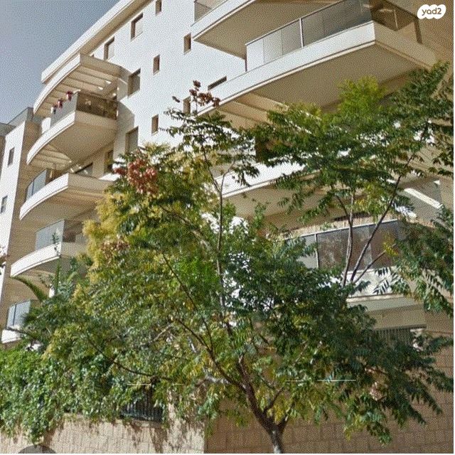 כפר סבא הצעירה