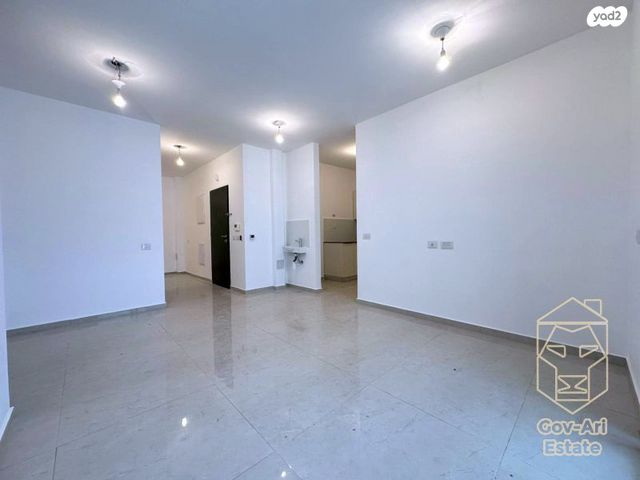 אבנר חי שאקי 