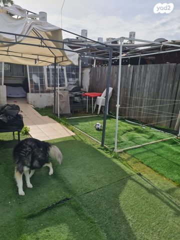 יגאל אלון 35