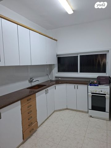 אריה בן אליעזר 