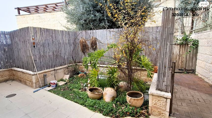 עין חמד (י"א)