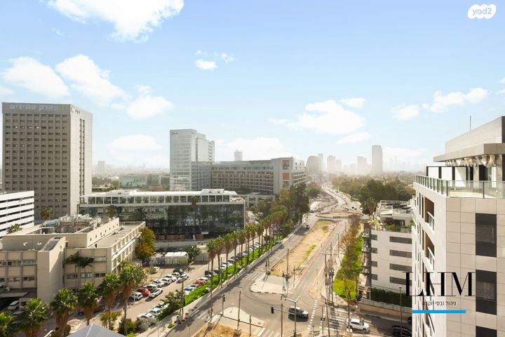 ראול ולנברג 