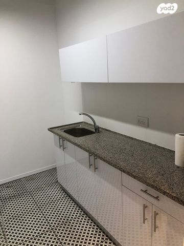 אריאל שרון 4