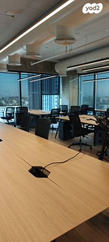 יגאל אלון 82