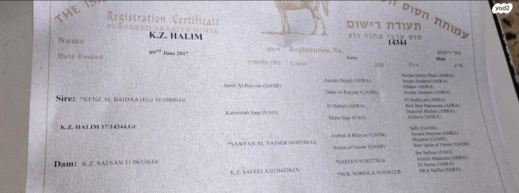 תמונת מודעה - חיות מחמד