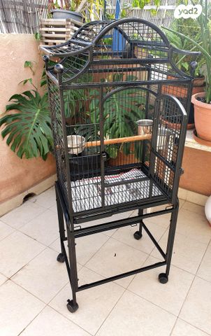 תמונת מודעה - חיות מחמד