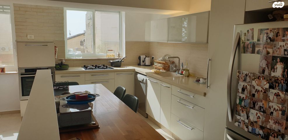 פרופ' יעקב פולוצקי 15