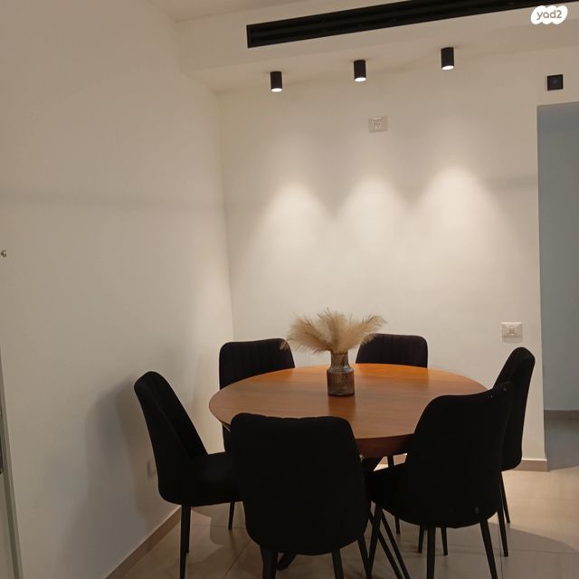 אריאל שרון 4