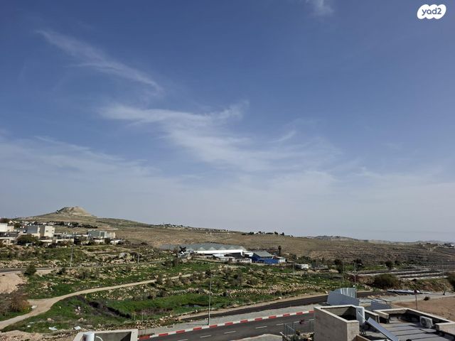 תכלת מרדכי 1