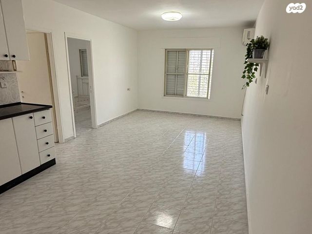 דוד אלעזר 12