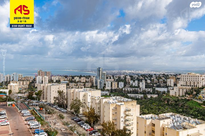 משה גוט לוין 