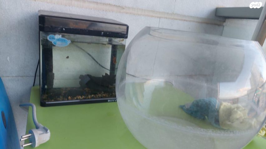 תמונת מודעה - חיות מחמד