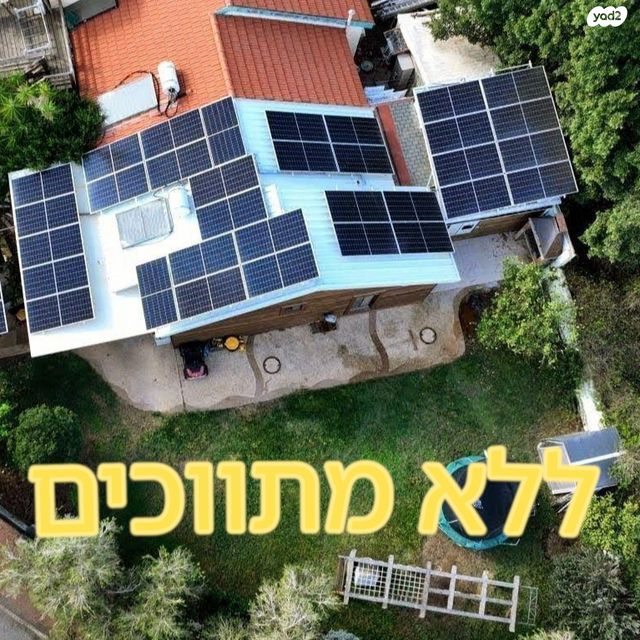 ארז 35