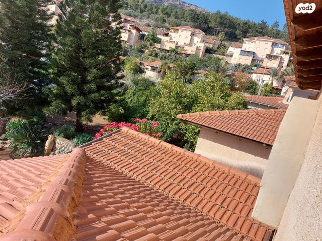 מלחמת ששת הימים 49