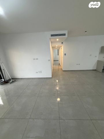 אפיקי דימרי 1