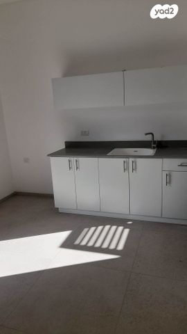 חשמונאים 111