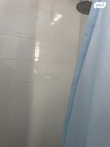 פורצי הדרך 50