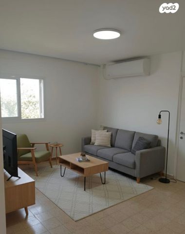 ח.מ. שפירא 19