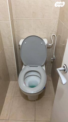 עקיבא ליברכט 11