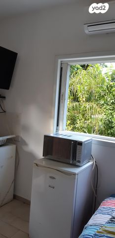 אבא אחימאיר 4