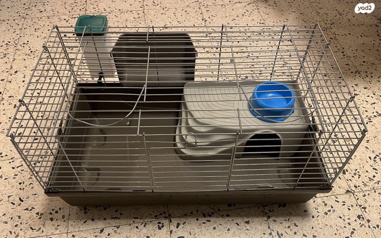 תמונת מודעה - חיות מחמד