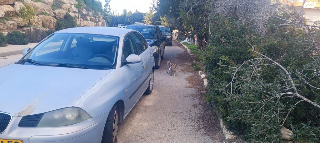 מודעת רכב סיאט איביזה