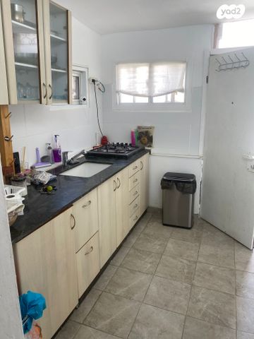 הכותל המערבי 50