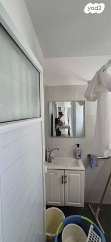 ז'בוטינסקי 4