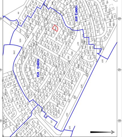 אליאונור ברנהיים 13