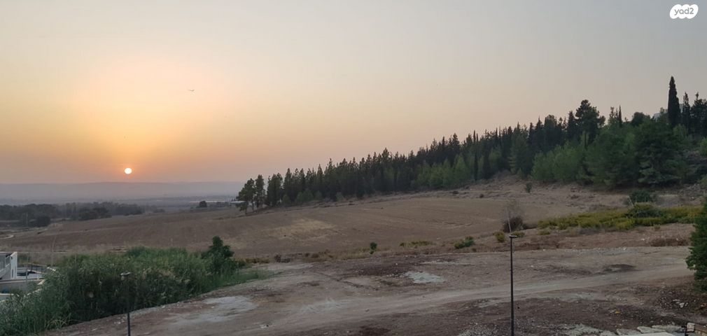 חיים הרצוג 16