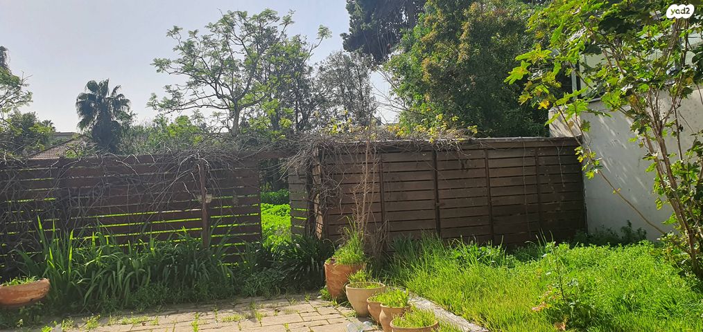 אשל אברהם 15