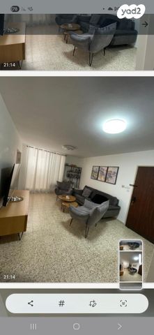 אריה צימוקי 5