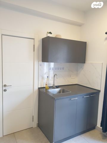 דרך זאב ז'בוטינסקי 65