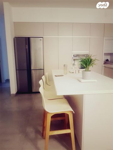 אורי בן ארי 2