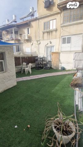 דוד אלרואי 8